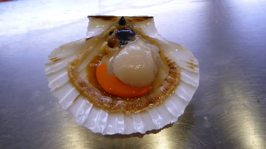 Coquille st jacques Normande ouverte