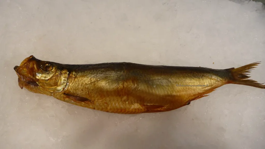 Hareng fumé sur l'étal d'un poissonnier